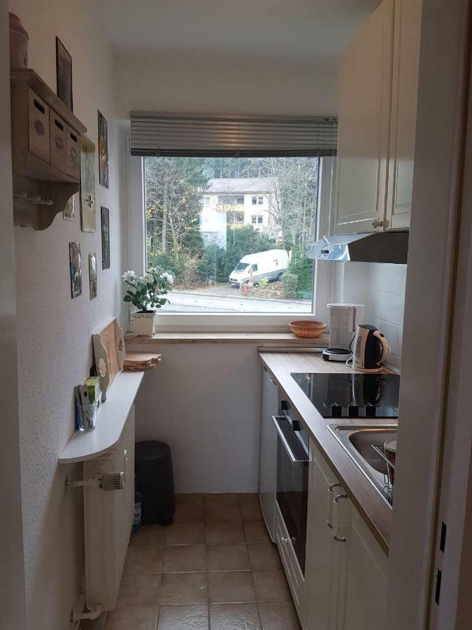 Weitblick Sankt Andreasberg Exterior foto