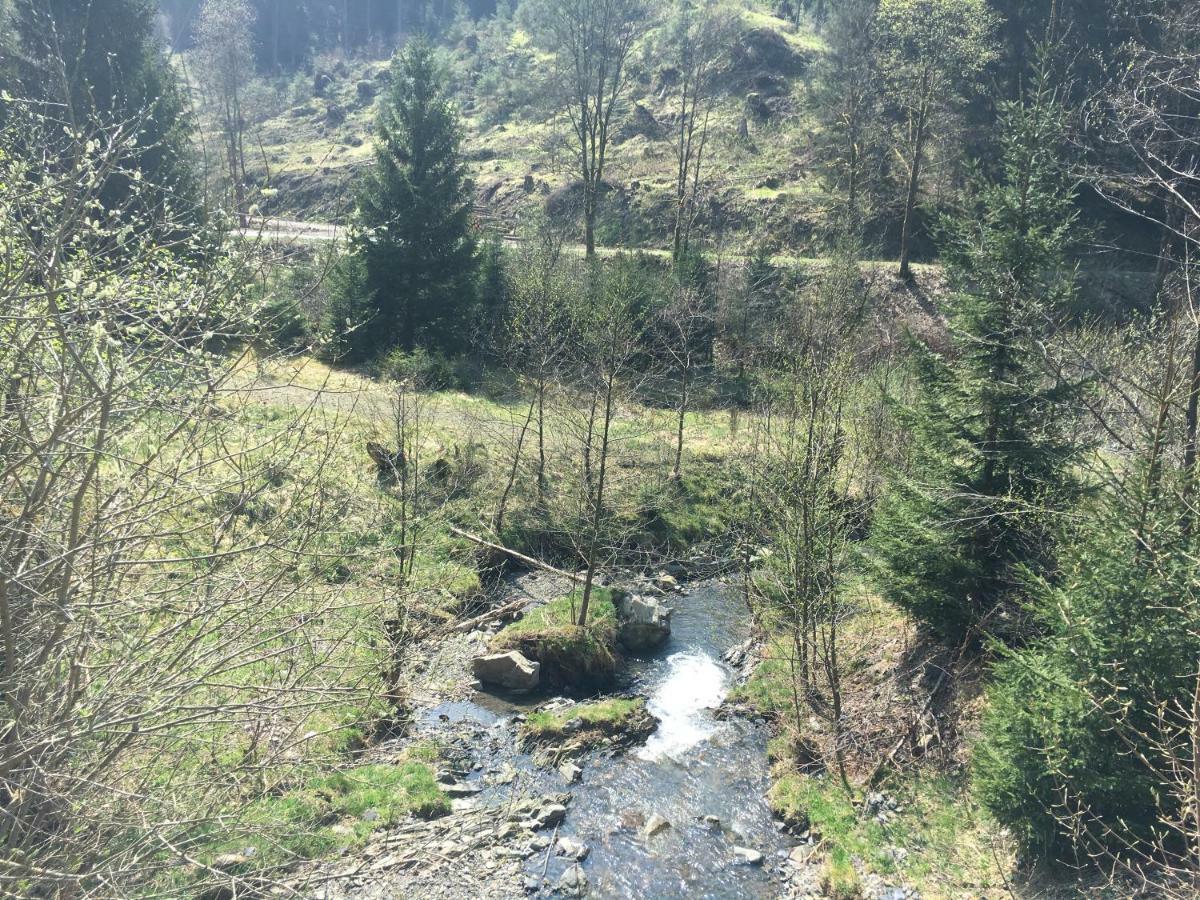 Weitblick Sankt Andreasberg Exterior foto